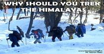 Why Should You Trek The Himalayas