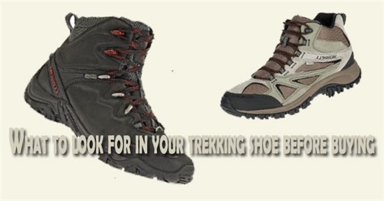 action high ankle trekking shoes
