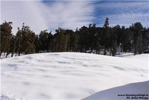 OrgBrandingNameForAlbumImages - Kedarkantha Description15-kedarkantha-snow
