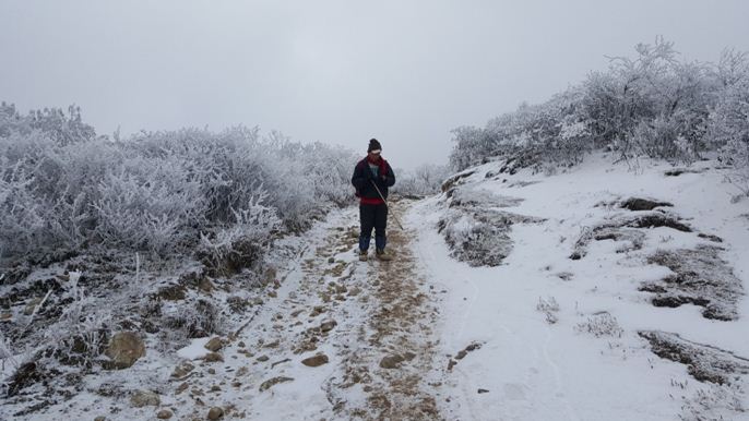 Trek To Sandakphu – How Our Own Winter Fell