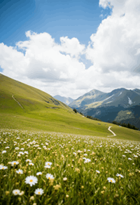Lush Green Meadows or Bugyals