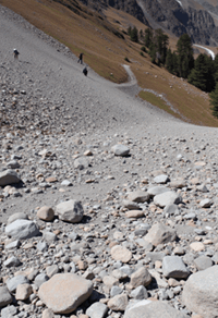 Rocky and Scree Zones