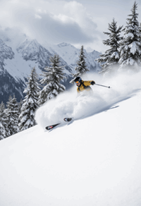 Skiing & Snowboarding