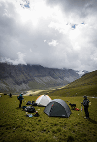 Week-long (7–9 days)