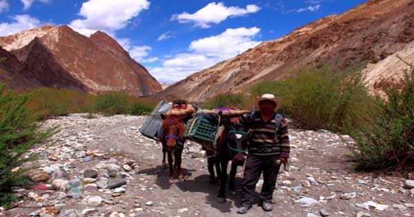 Ladakh Zanskar Trek - Via Markha, Zulung Karpo La, Charchar La