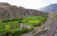 ladakh sham valley trek details