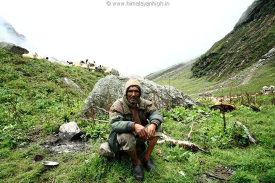 A shepherd in Chamtoli