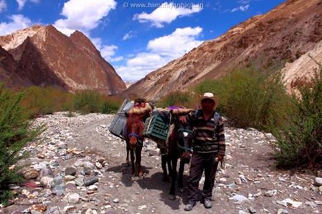  Markha Valley Trek and Approach March to Base Camp Of Kang Yatse 