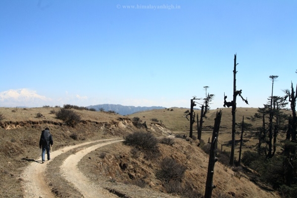  Impact Of Landrover On The Sandakphu Phalut Trek 