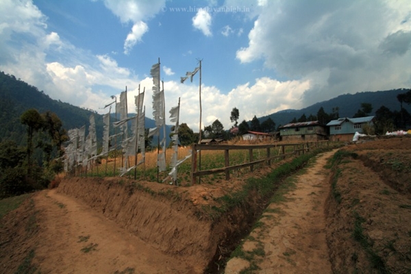 Sandakphu Landscape By Suman 26