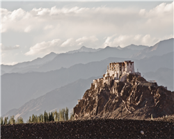 stok-kangri-base-camp-trek_stok-kangri-base-camp-trek-img_6556.jpg