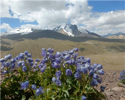 kang-yatse-1-and-2-climbing-expedition_kang-yatse-1-and-2-climbing-expedition-img20240809111352.jpg