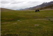 day6 photo - markha valley trek high altitude pasture land of nimaling