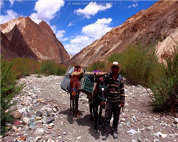 markha-valley-trek-_markha-valley-trek-approaching-hankar-from-markha.jpg