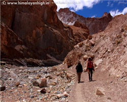 markha-valley-trek-_markha-valley-trek-approaching-thochungtse-from-hankar.jpg