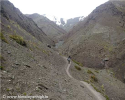 markha-valley-trek-_markha-valley-trek-enroute-chuskyirmo-from-kongmarula.jpg