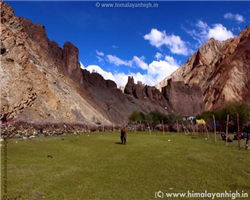 markha-valley-trek-_markha-valley-trek-flat-green-campsite-of-markha.jpg