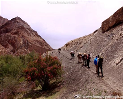 markha-valley-trek-_markha-valley-trek-leaving-from-skiu-to-markha.jpg