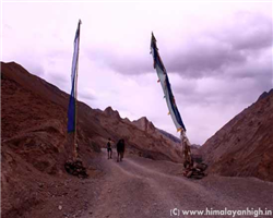 markha-valley-trek-_markha-valley-trek-start-of-the-markha-trek-towards-skiu.jpg