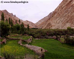 markha-valley-trek-_markha-valley-trek-towards-skiu-on-markha-trek.jpg