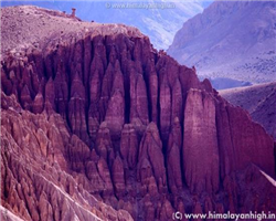 markha-valley-trek-_markha-valley-trek-unique-sculptures-of-ladakh.jpg