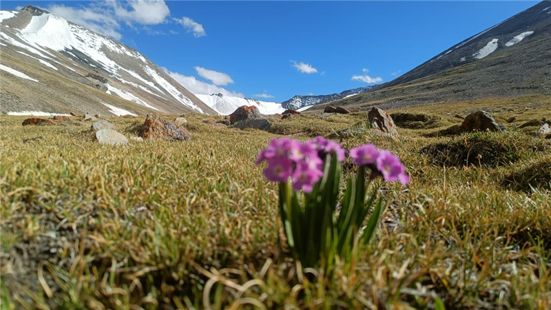  UT Kangri Climbing Expedition highlights 