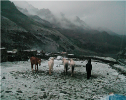 shang-la---matho-la-trek_shang-la--matho-la-trek-img_20150609_194811.jpg