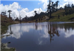 day2 photo - sandakphu phalut trek day3 kalipokhari lake