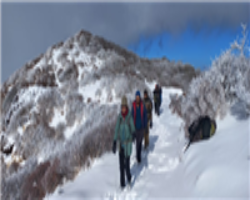 Snow-Covered Forest Walk | Sandakphu Phalut Winter Trek Adventure