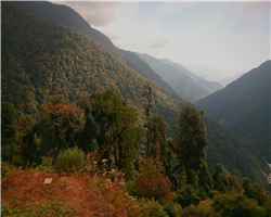 goecha-la-trek_goecha-la-trek-img_20141105_183721.jpg