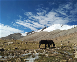 mentok-kangri-2-and-3-climbing-expedition_mentok-kangri-2-and-3-climbing-expedition-base-camp.jpg