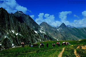 OrgBrandingNameForAlbumImages - Kashmir Alpine Lakes n Meadows The caravan, enroute Sat Sarsatsar
